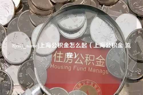 驻马店上海公积金怎么起（上海公积金 流程）